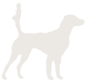 Red Setter Database